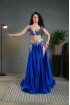 Professional bellydance costume (Classic 335 A_1)